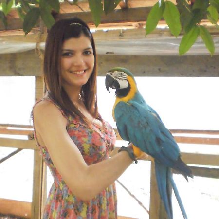 Amazon Rainforest Lodge Padre Cocha Buitenkant foto