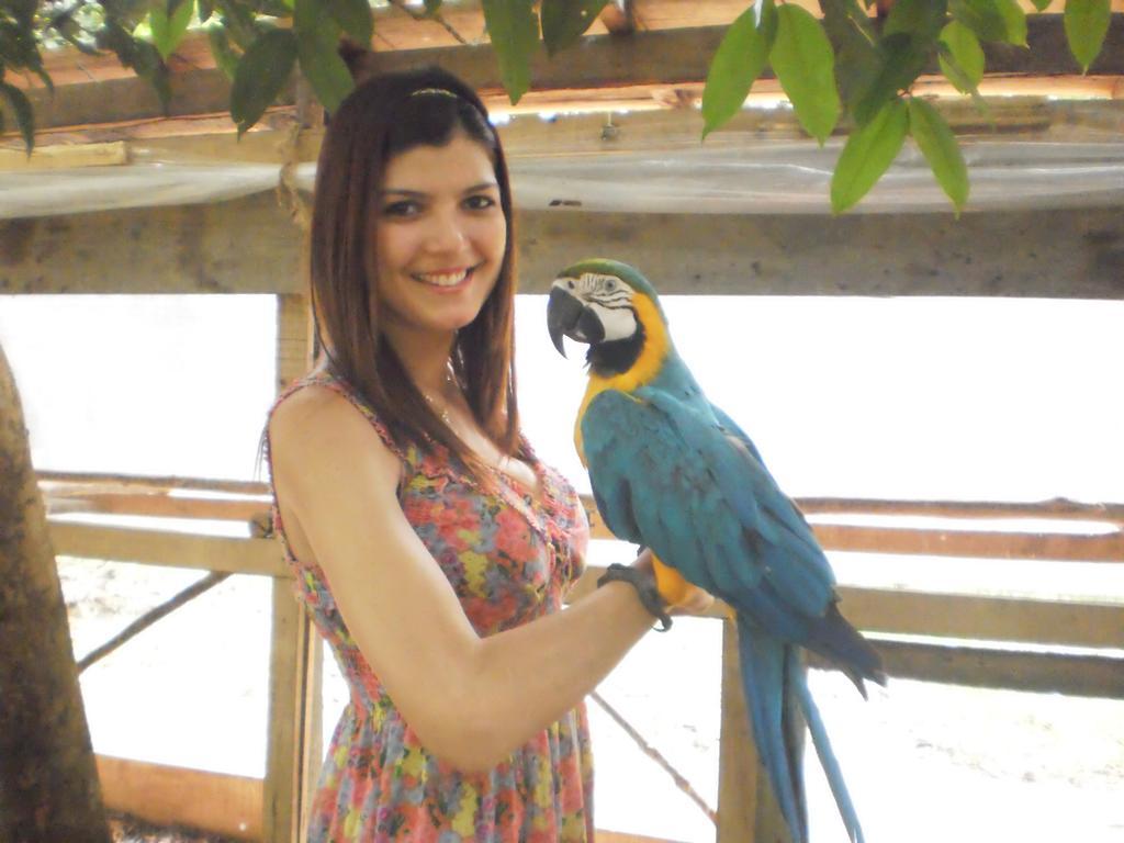 Amazon Rainforest Lodge Padre Cocha Buitenkant foto